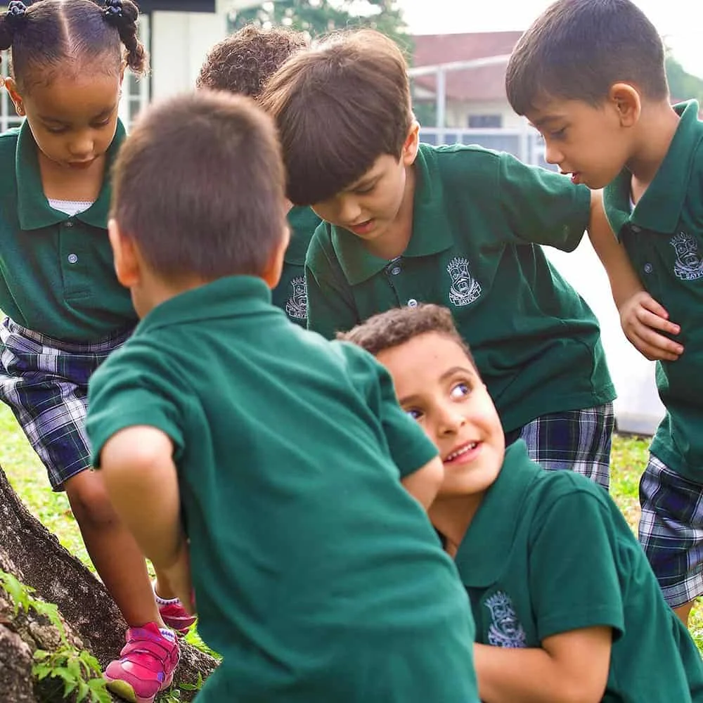 Sayfol International School